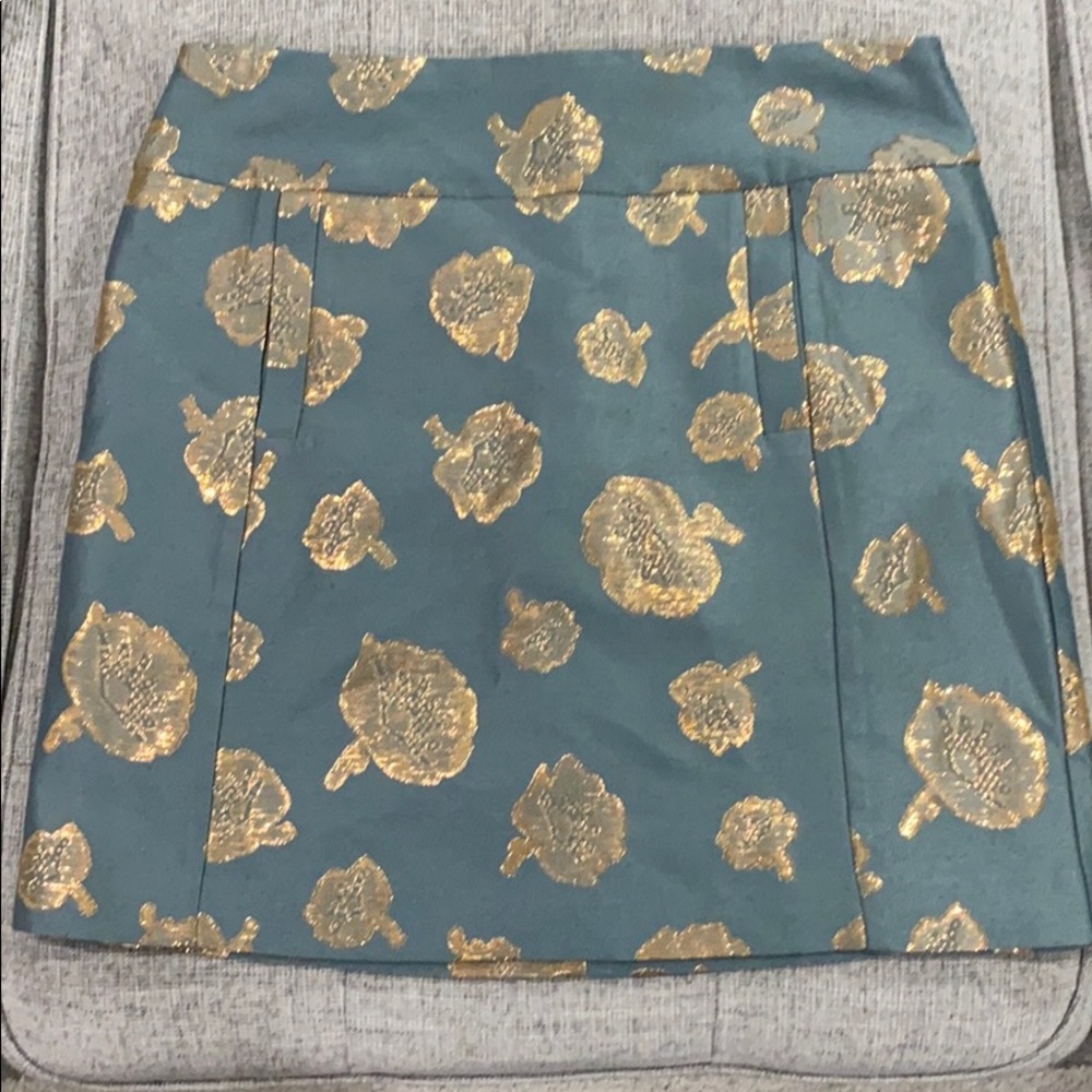 Ann Taylor Skirt